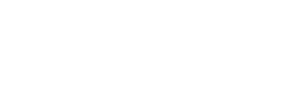 eyeMAX Slim Cholangoscope